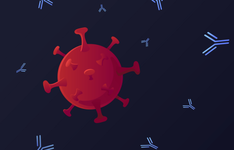 Blog 2D Antibodies Monoclonal