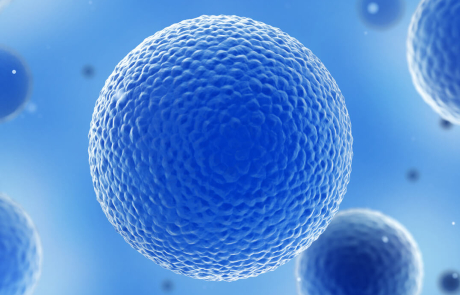 Blog 3D Biological Cells Blue