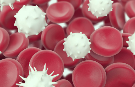 Blog 3D Biological Cells White Red