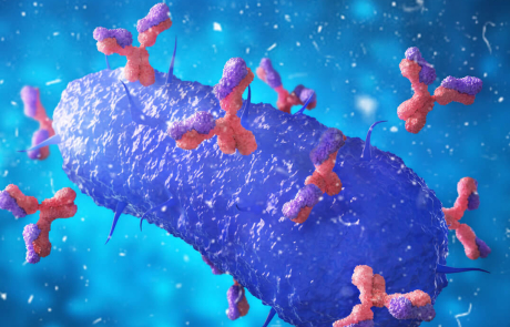 Blog 3D Biological Oncology Virus Attacked Antibodies