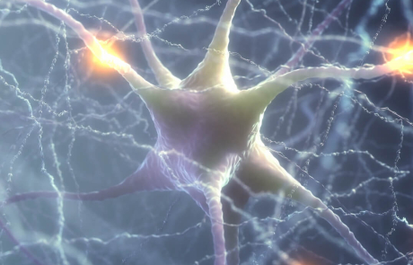 Blog Main Image - 3D Neurons Electric Pulse