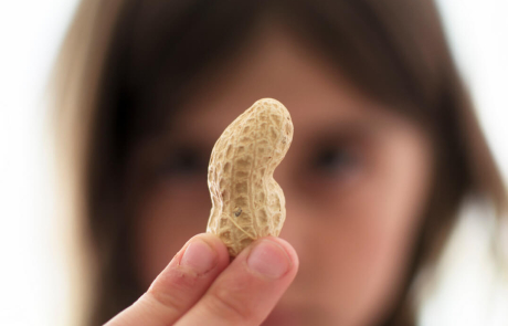 Blog Peanut Held By Girl