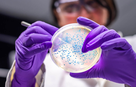 Blog Researcher Woman Examining Culture Plate