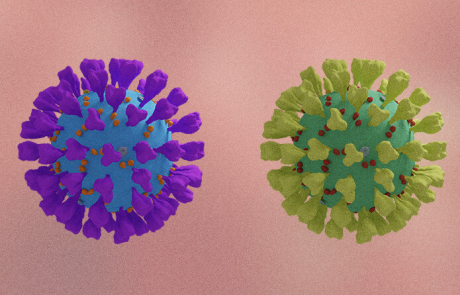 Blog 3D COVID Particles Colored