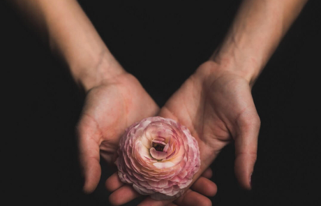 Blog Hands Holding Flower Black