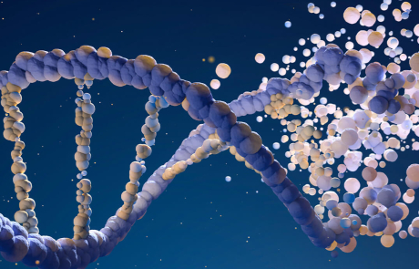 Blog 3D Genetic Strand Parts