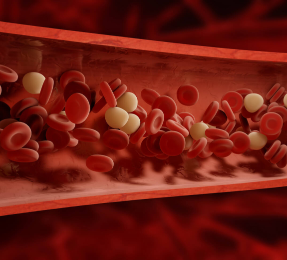 Blog Main Image - 3D Biological Blood Cells Bloodstream