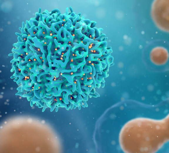 Blog 3D Biological Cells Cancer