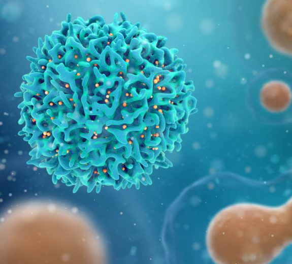 Blog Main Image - 3D Biological Cells Cancer