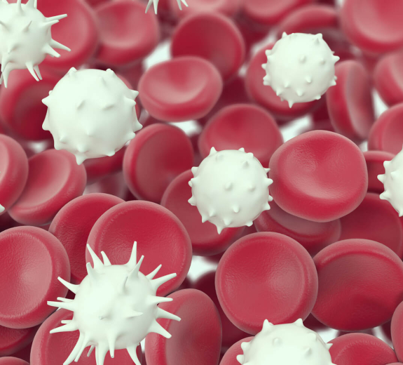 Blog Main Image - 3D Biological Cells White Red