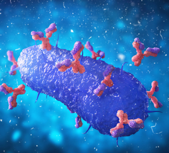 Blog 3D Biological Oncology Virus Attacked Antibodies