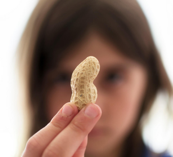 Blog Peanut Held By Girl