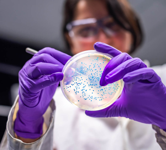 Blog Researcher Woman Examining Culture Plate