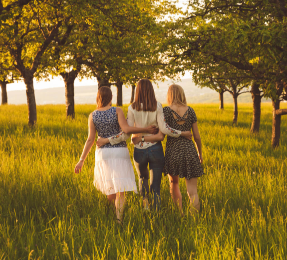 Blog Main Image - Sisters Rearview Evening Forest Yellow