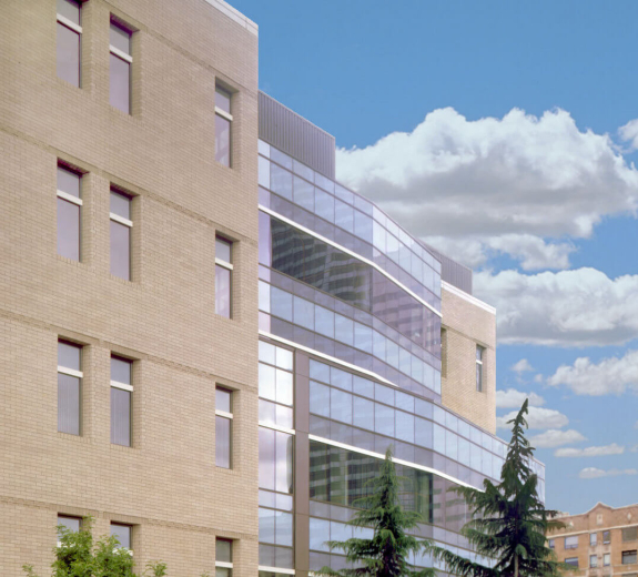 Blog BRI Building Rear