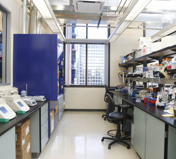 Blog BRI Lab Bay Empty