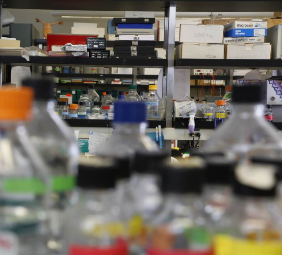Blog Main Image - BRI Lab Jars on Shelves 2