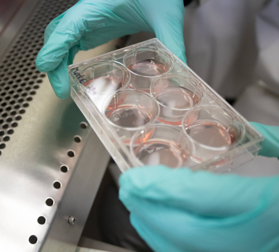 Blog BRI Researcher Handling Samples Hood