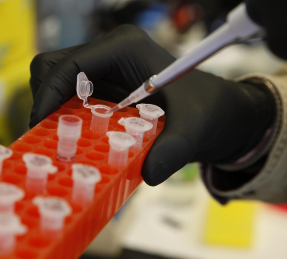 Blog BRI Researcher Pipetting Samples 1