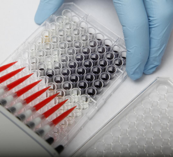 Blog BRI Researcher Samples Hood 2