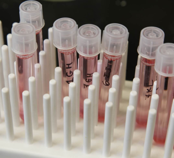 Blog Main Image - BRI Samples Vials Pink