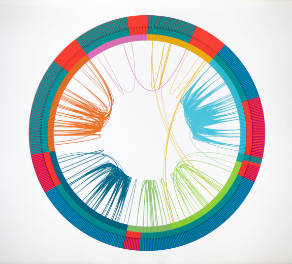 Blog Main Image - BRI Scientific Circle CIRCOS Plot