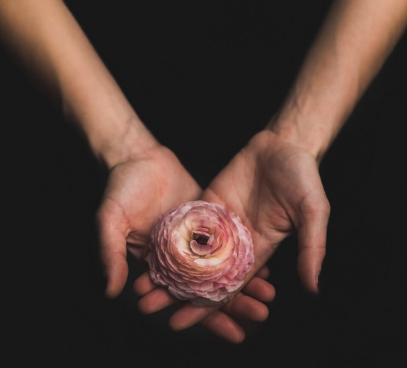Blog Hands Holding Flower Black