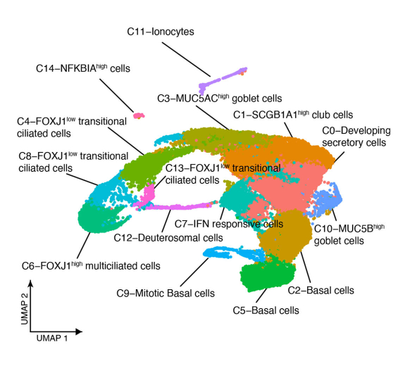 Featured Data Genomics Jayavelu