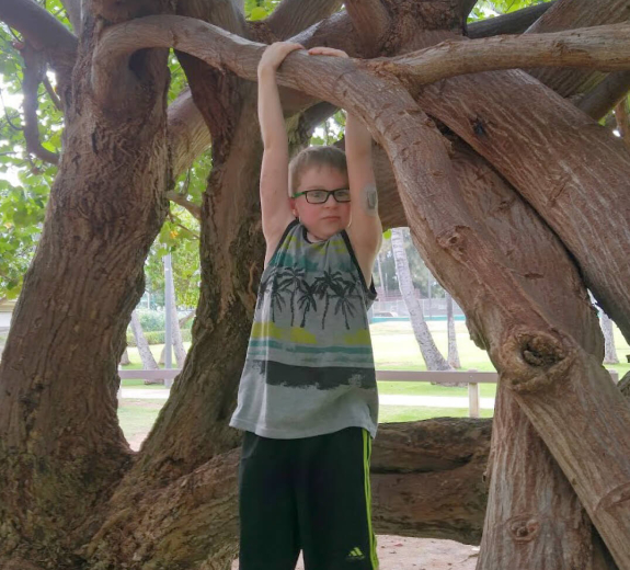 Blog Peter Heldring Tree Editorial