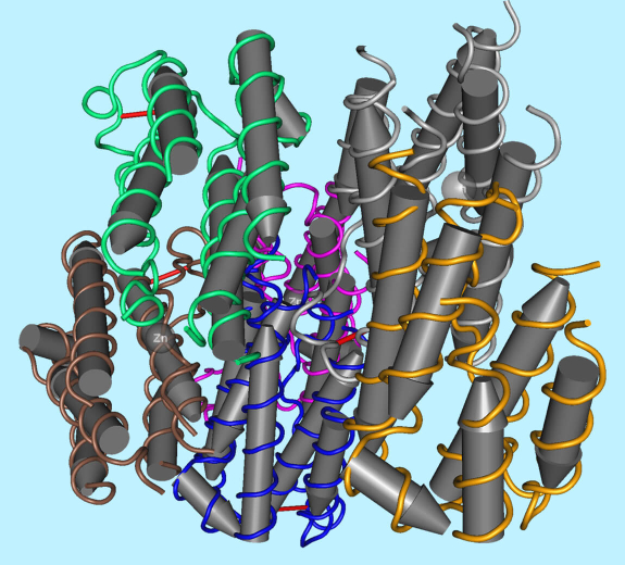 Featured 3D Biological Interferon