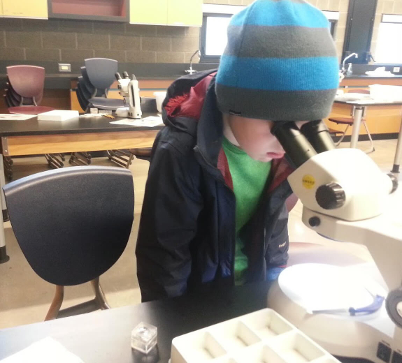 Featured Bio Peter Heldring Microscope Editorial