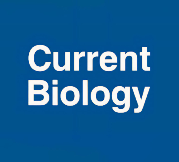 News Current Biology