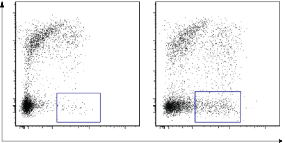 Harrison Research Project Inline - Understanding how commensal-specific B cell responses are mounted and regulated