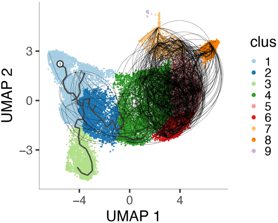 Linsley Lab Research Project Inline - Exhausted CD8+ T Cell