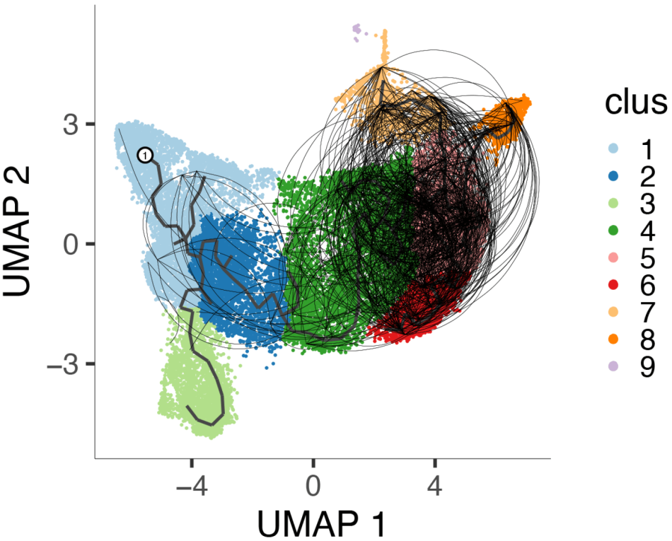 Linsley Lab Res Proj Inline - Exhausted CD8+ T Cell