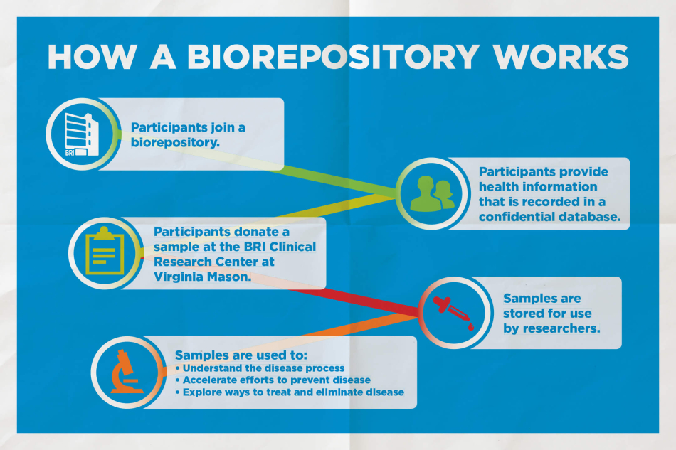 Layout 2D How a Biorepository Works
