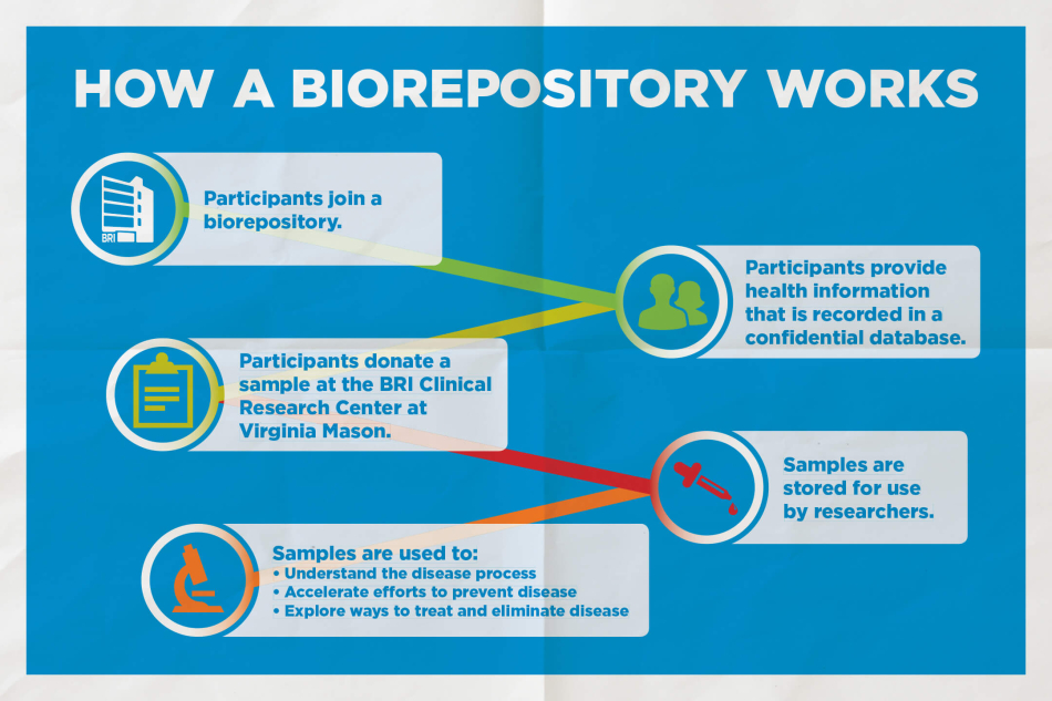 Graphic Layout 2D How a Biorepository Works