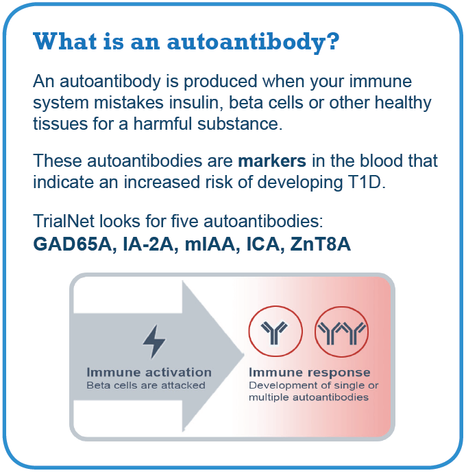 Graphic Layout 2D What is Autoantibody