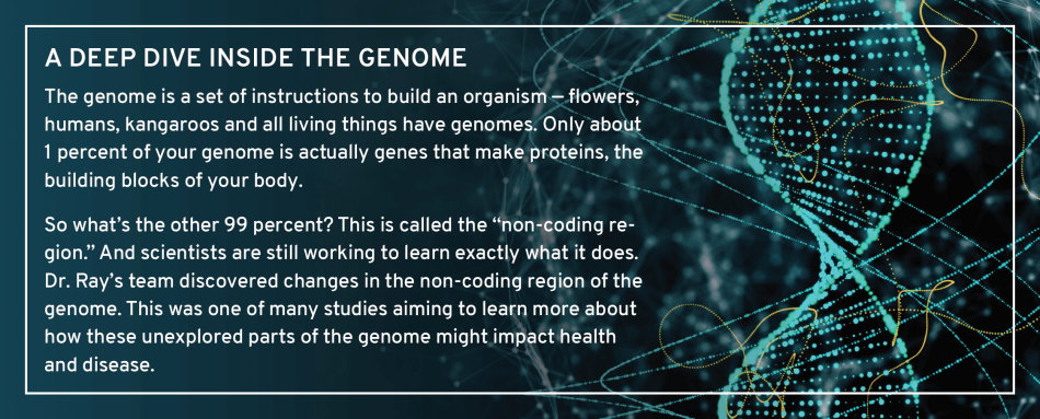 Graphic Layout 3D Deep Dive Inside Genome