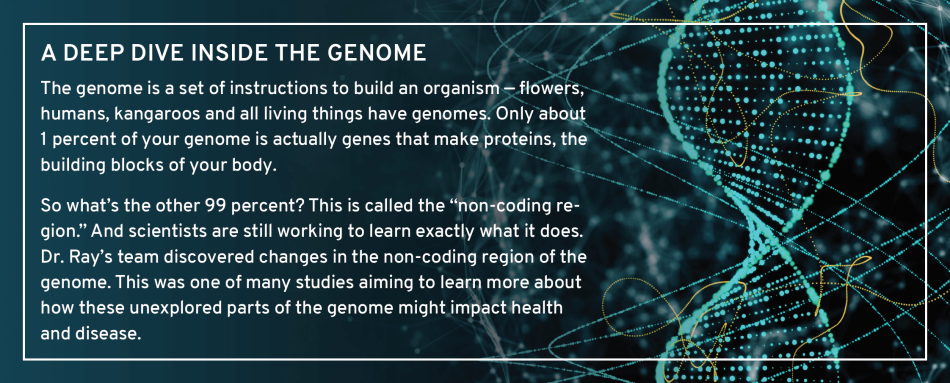 Layout 3D Deep Dive Inside Genome