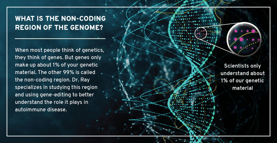 Graphic Layout 3D What is Non-Coding Region of Genome
