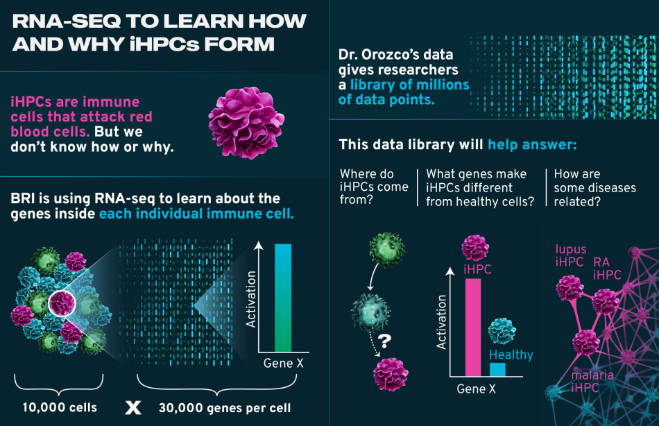 Graphic In-Line Layout 3D RNA-Seq iHPC