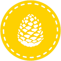 CII 200x200 Logo Camp Leo Elementary