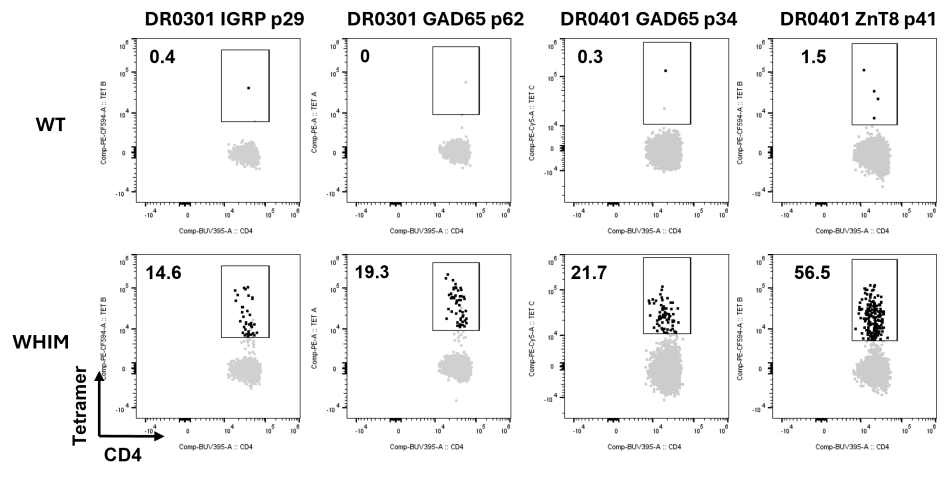 Second generation tetramer staining figure. 