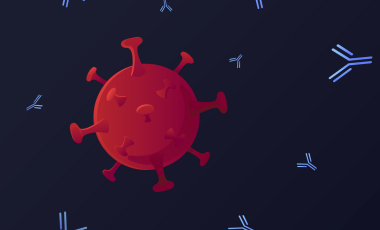 Blog 2D Antibodies Monoclonal