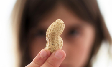 Blog Peanut Held By Girl