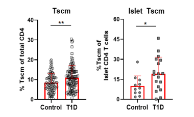 Cerosaletti Research Project Preview - Stem-like memory CD4 T cells in type 1 diabetes