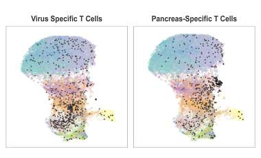Core HIP Research Project Preview - High Parameter Caption