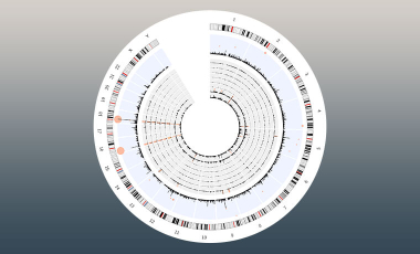 Lacy-Hulbert Research Project Prev - Forward Genetics