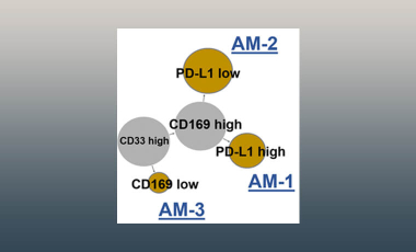 Mikacenic Res Proj Prev - Immune Checkpoints